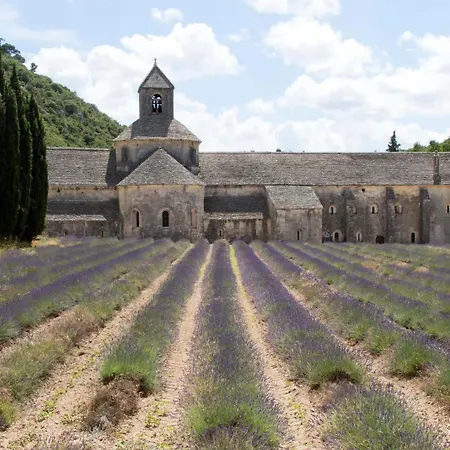 Le De Lolivier En Provence Aramon