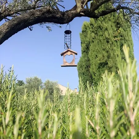 Le De Lolivier En Provence Holiday home *