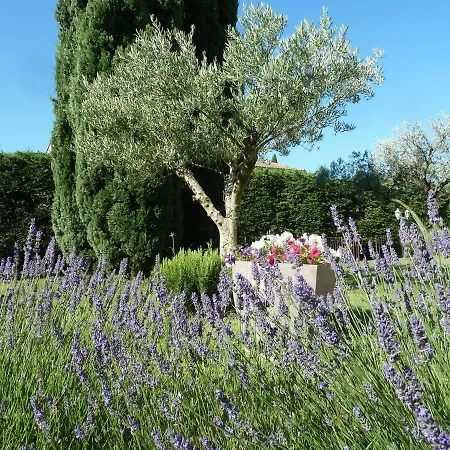 Le De Lolivier En Provence * Aramon